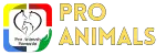 PNG to WEBP 3