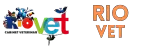 PNG to WEBP 5